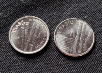 Cuidado: saiba identificar a moeda da cana-de-açúcar FAO