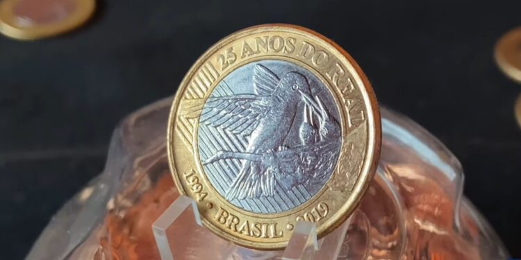 Descubra o que faz a moeda do beija-flor 2019 valer 60 vezes mais!