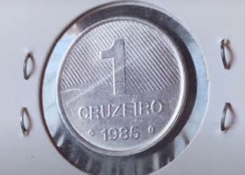 Moeda de 1 Cruzeiro FAO de 1985 em detalhe