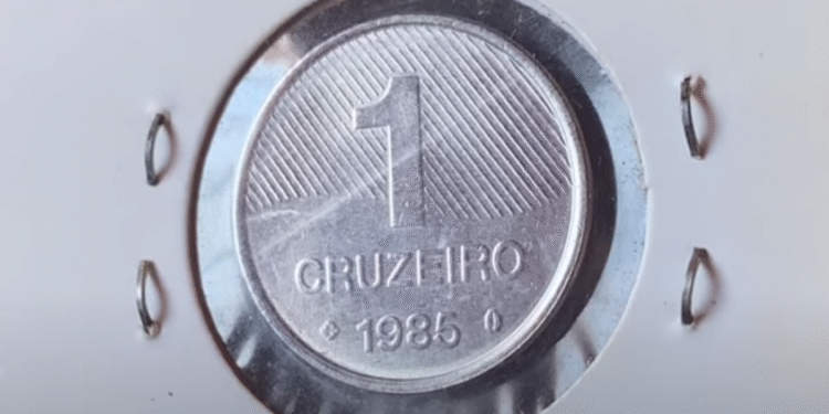 Moeda de 1 Cruzeiro FAO de 1985 em detalhe